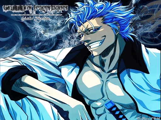 Grimmjow Pantera 1024 x 768 800 x 600 To download wallpapers without ads