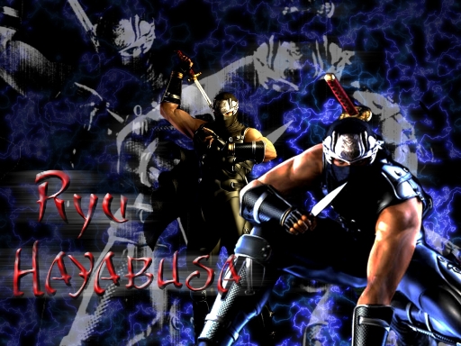 Hayabusa Assasin