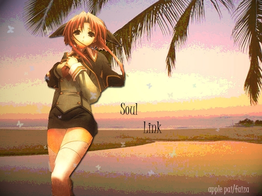 Soul Link