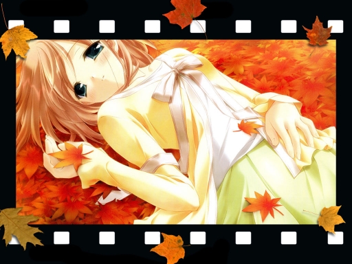 Fallen Leaves