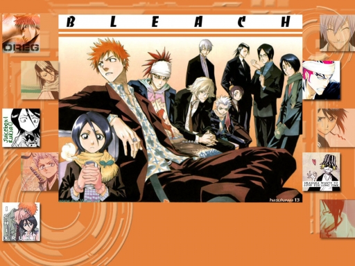 Bleach