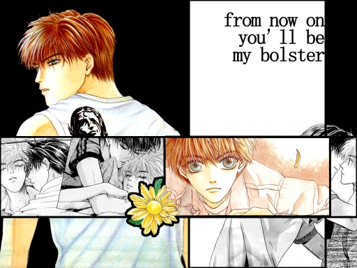 Bolster