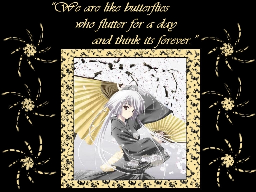 Butterflies