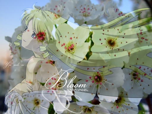 Bloom~*