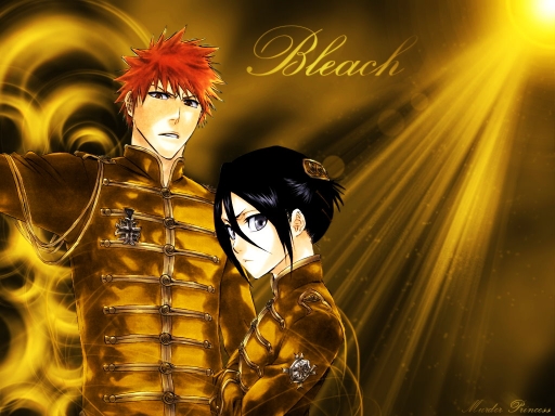Bleach caption-570052-20100124063907.jpg