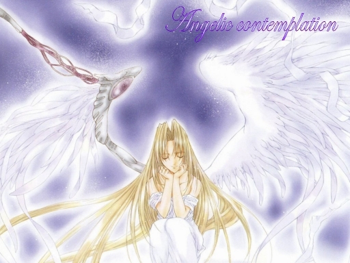 Contemplation