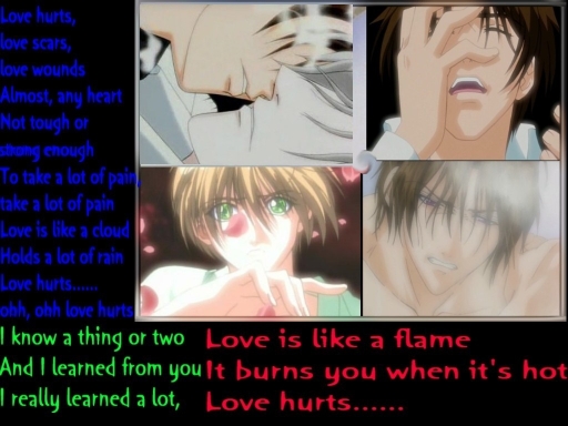 Love Hurts