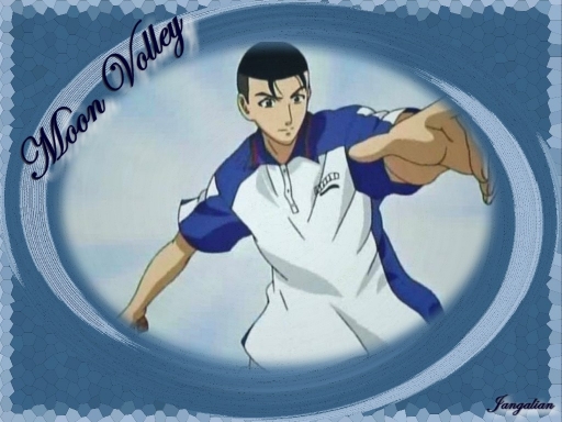 Moon Volley