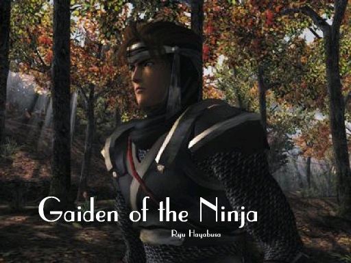 Hayabusa Ninja Doa4 & Gaid