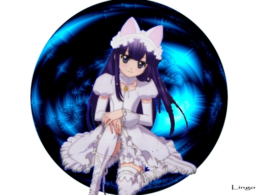 Kitty