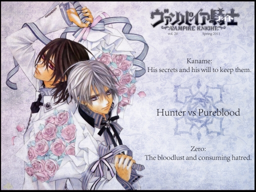Vampire Knight