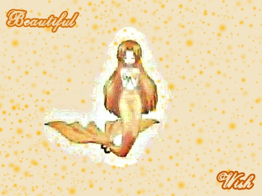 Beautiful Wish
