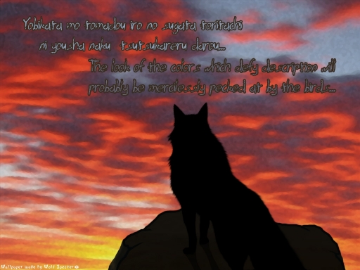Requiem For The Sun