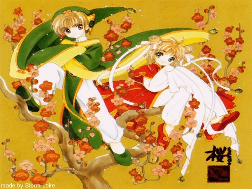 Ccs